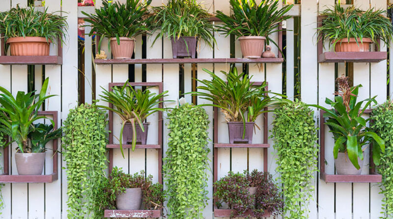 Come creare un giardino verticale in casa